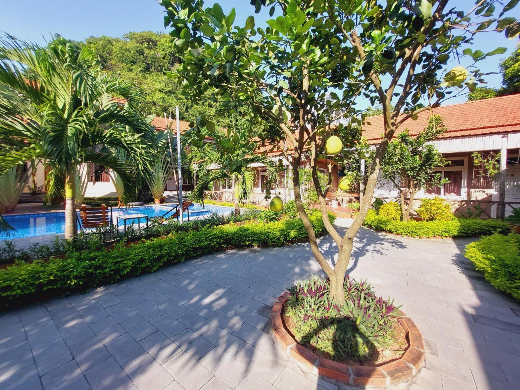 Ninh Binh Mountain Side Homestay & Cafe Εξωτερικό φωτογραφία